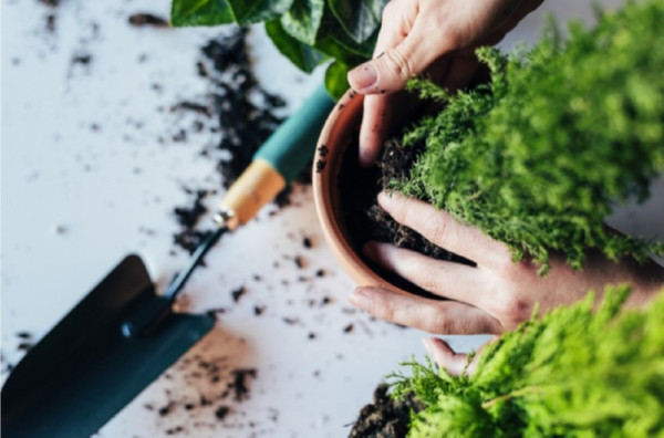 화면 캡처 2026-02-27 163324.jpg