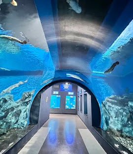 아쿠라리움1.jpg
