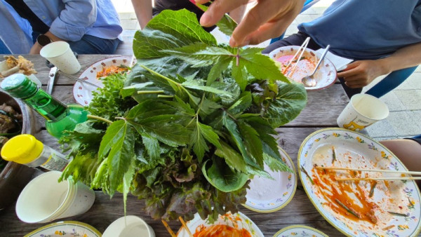 건강 야채1.jpg
